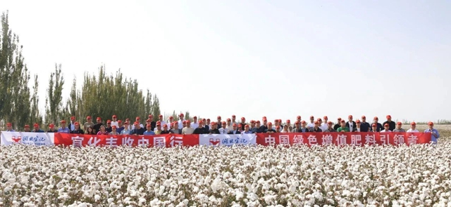 宜化豐收中國行！新疆棉花大型測產觀摩會成功舉行(圖1)