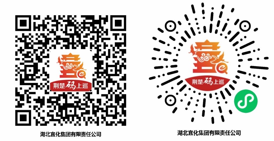 巡察公告